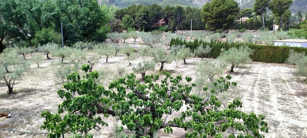 Verkauf - Villa - Cocentaina