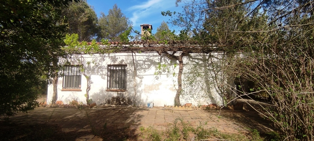 Verkauf - Country House - Villalonga