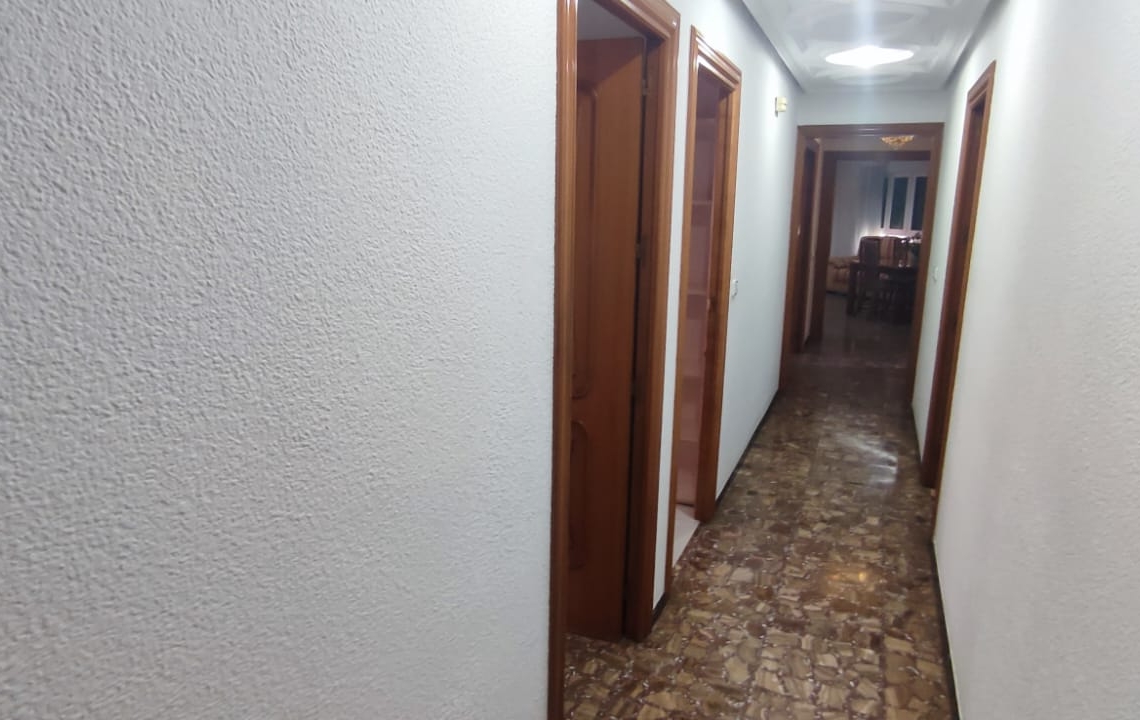 Czynsz - Apartament - Elche - El Pla