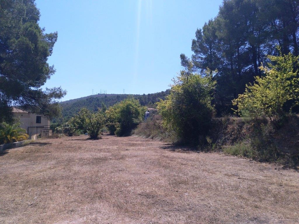 Na sprzedaż - Finca - Ontinyent