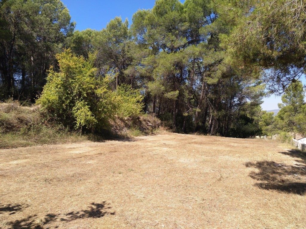 Na sprzedaż - Finca - Ontinyent