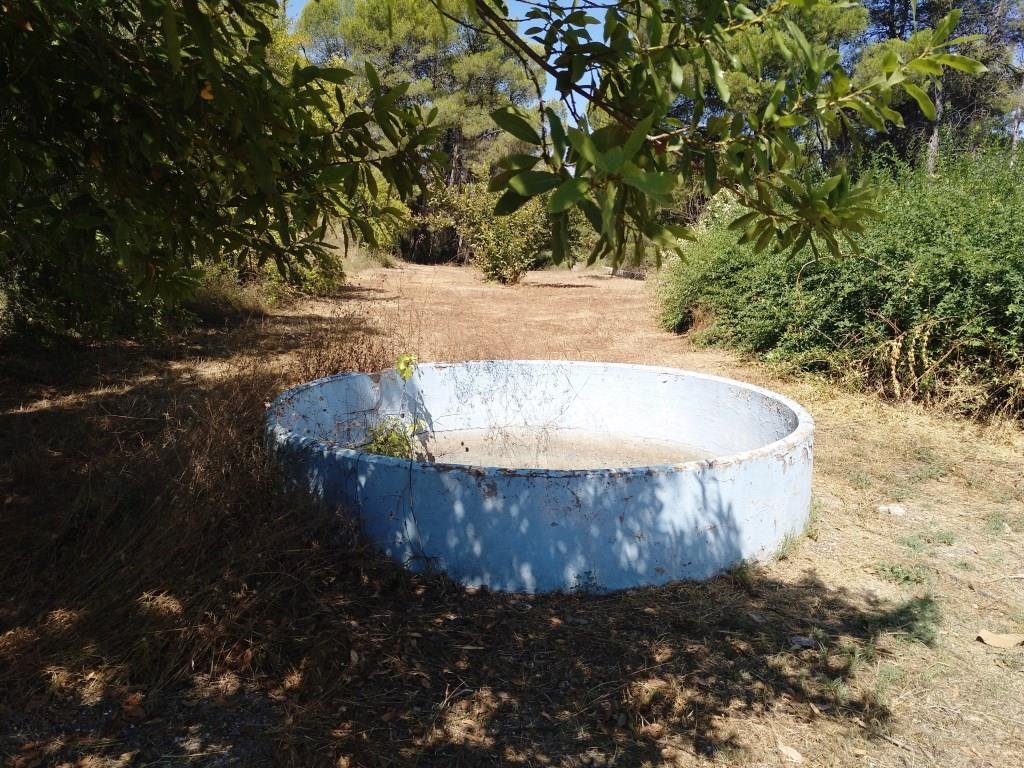 Na sprzedaż - Finca - Ontinyent