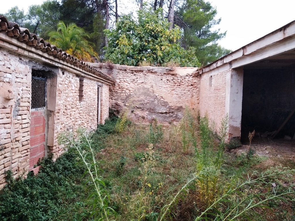 Na sprzedaż - Finca - Ontinyent