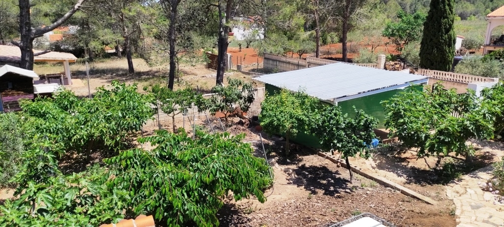 Na sprzedaż - Country House - Villalonga