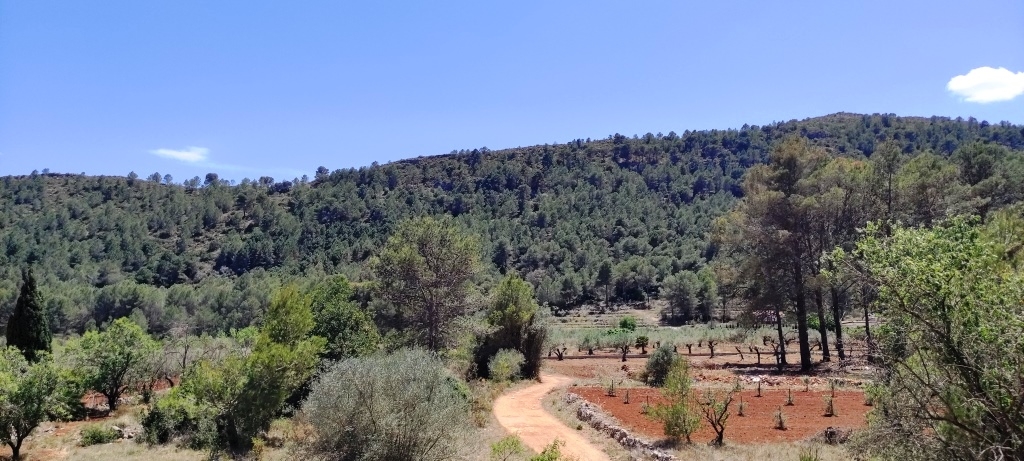 Na sprzedaż - Country House - Villalonga