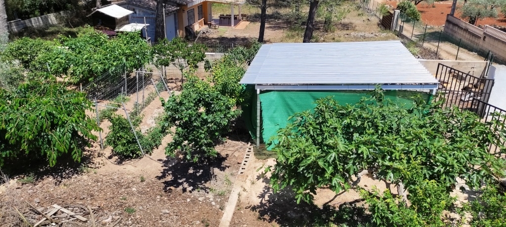 Na sprzedaż - Country House - Villalonga