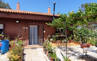 Country House -  Sale - Villalonga - Villalonga