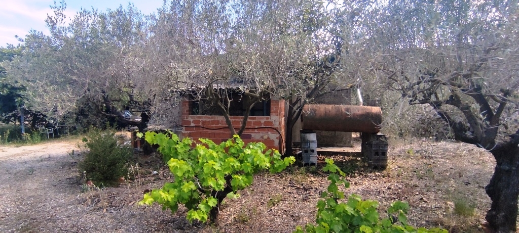 Na sprzedaż - Country House - Villalonga