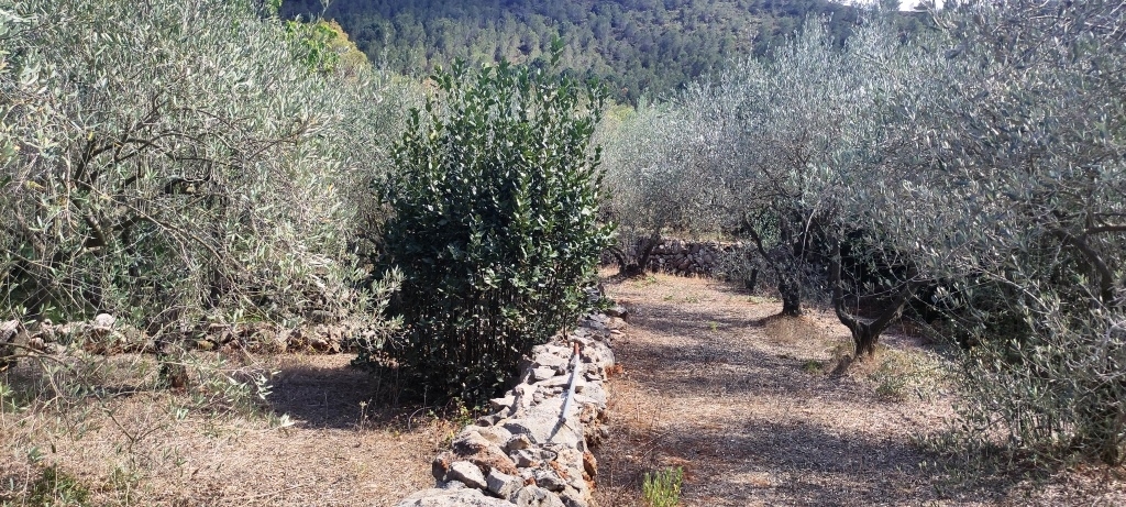 Na sprzedaż - Country House - Villalonga