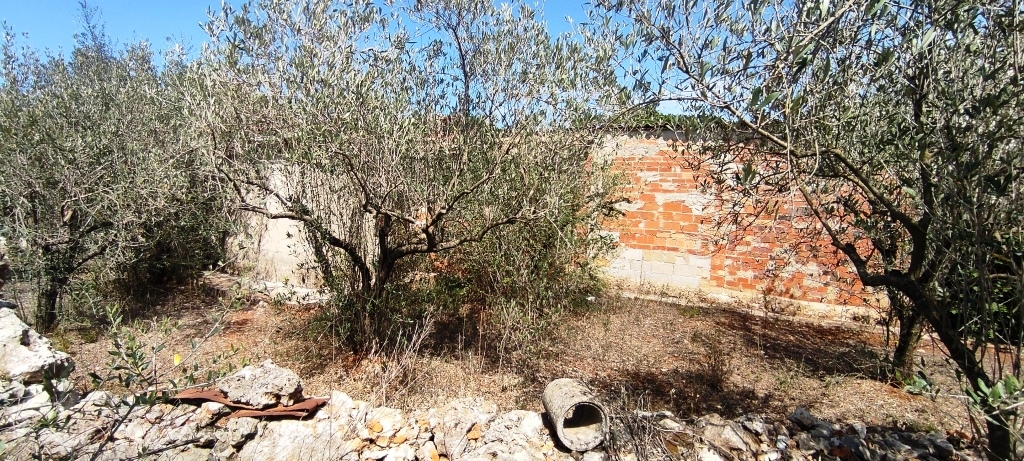 Na sprzedaż - Country House - Villalonga