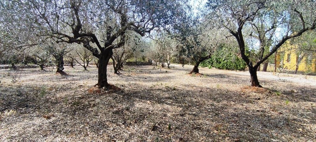 Na sprzedaż - Country House - Villalonga