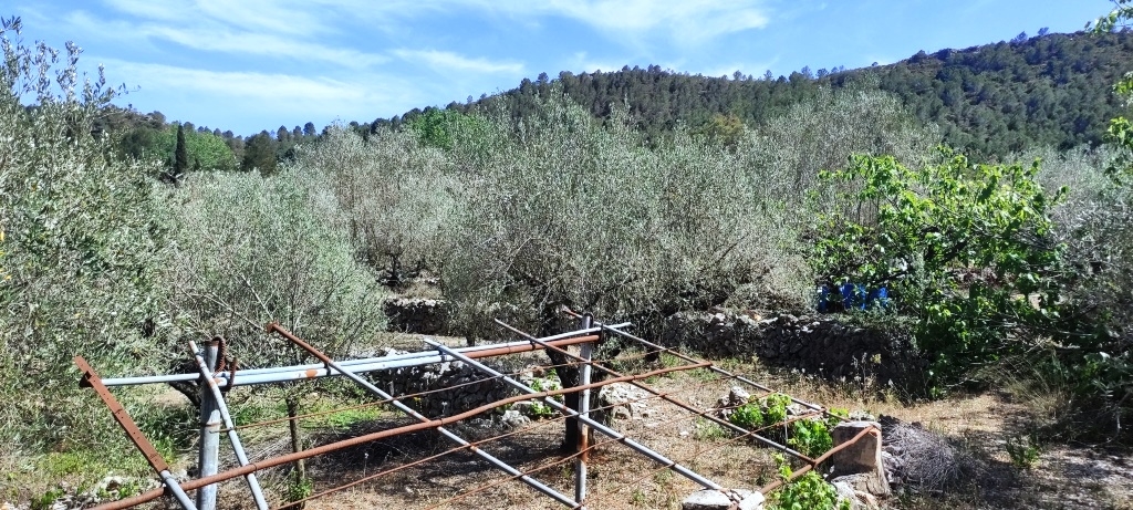 Na sprzedaż - Country House - Villalonga