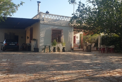 Villa - Na sprzedaż - Elche - LLano de San Jose