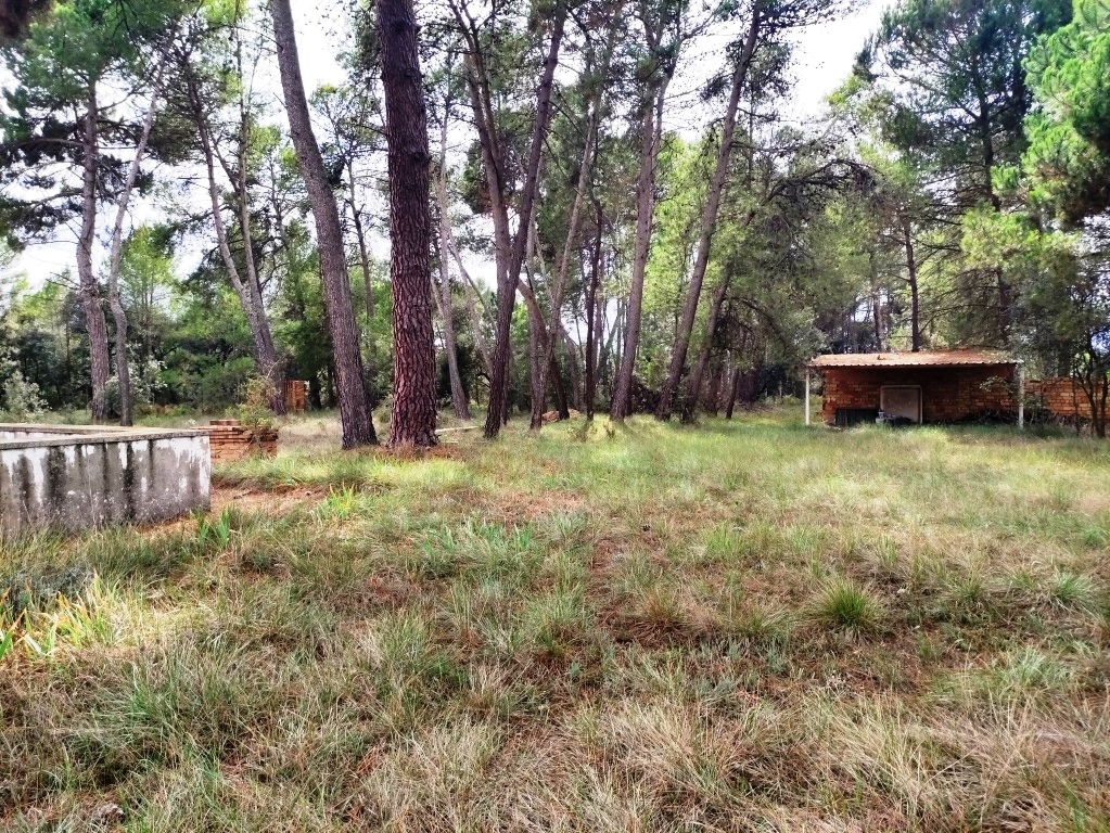 Reventa - Country House - Bocairent