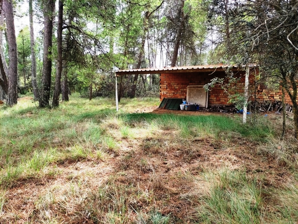 Reventa - Country House - Bocairent