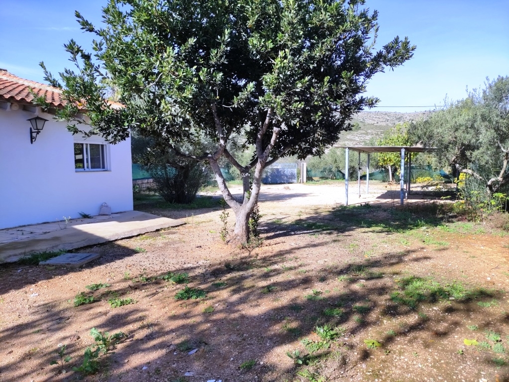  Sale - Country House - Ontinyent