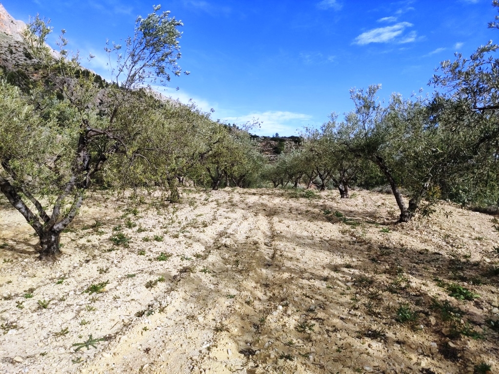 Reventa - Country House - Gaianes