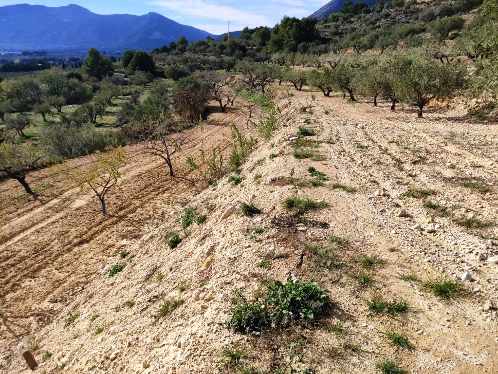 Reventa - Country House - Gaianes