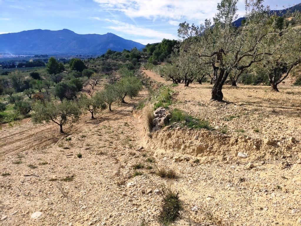 Reventa - Country House - Gaianes