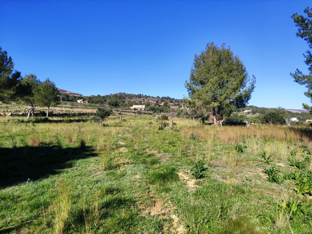 Na sprzedaż - Rustic land - Benissa
