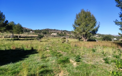 Rustic land - Na sprzedaż - Benissa - Benissa