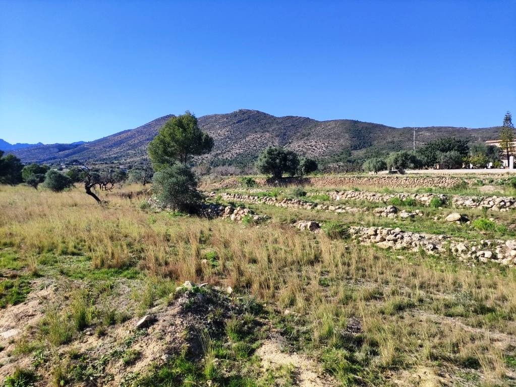 Na sprzedaż - Rustic land - Benissa