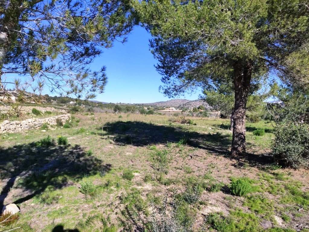 Na sprzedaż - Rustic land - Benissa