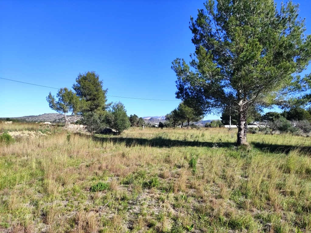 Na sprzedaż - Rustic land - Benissa