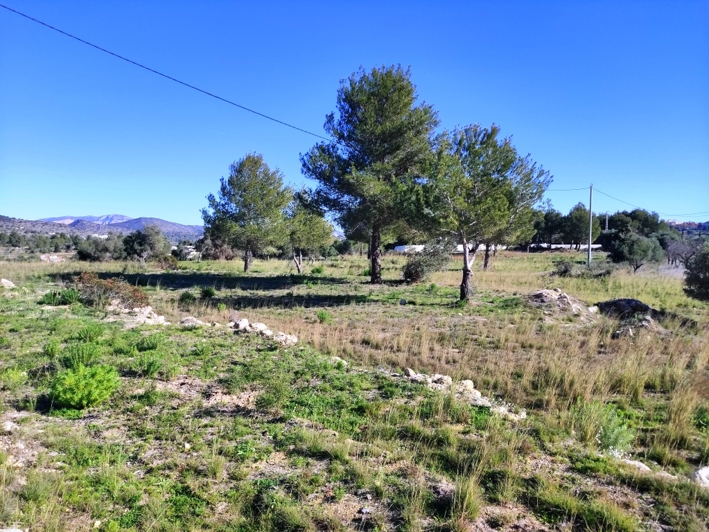 Na sprzedaż - Rustic land - Benissa