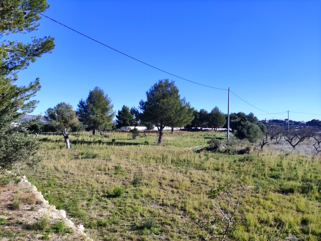 Na sprzedaż - Rustic land - Benissa
