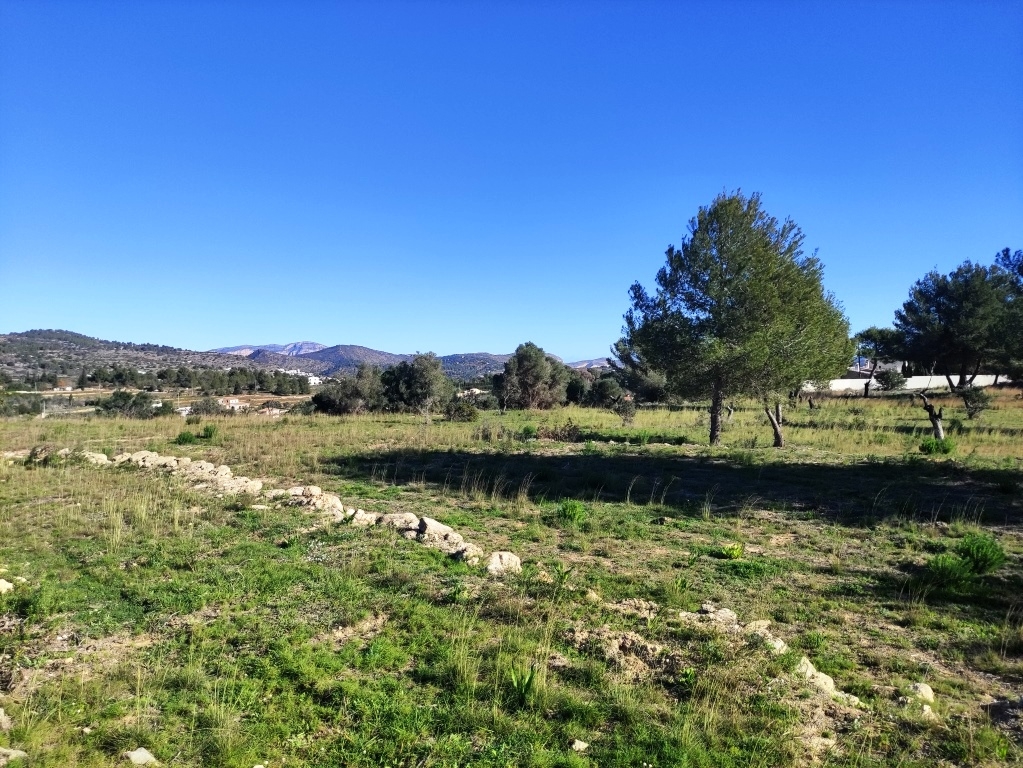 Na sprzedaż - Rustic land - Benissa