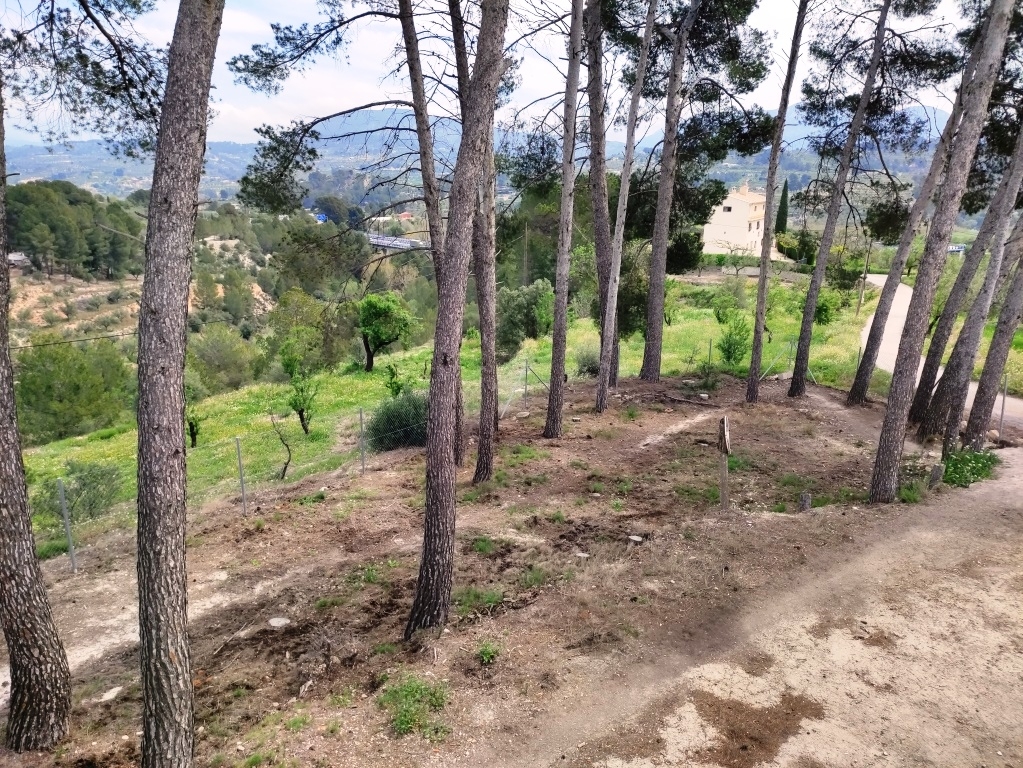 Verkauf - Finca - Cocentaina