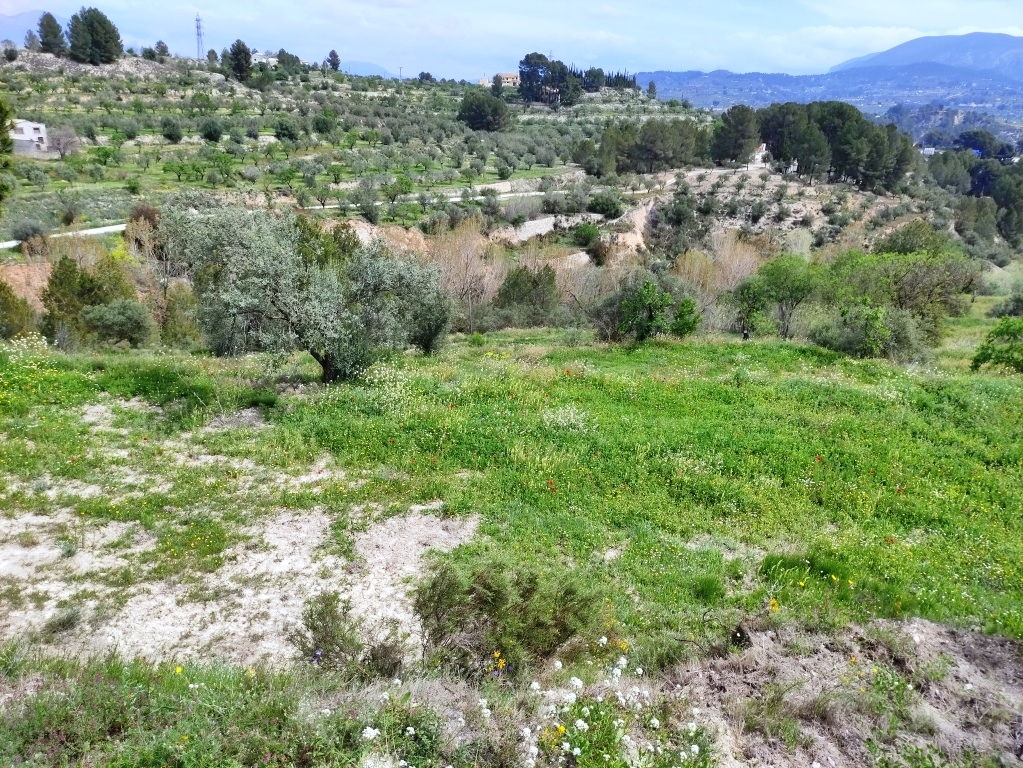 Verkauf - Finca - Cocentaina