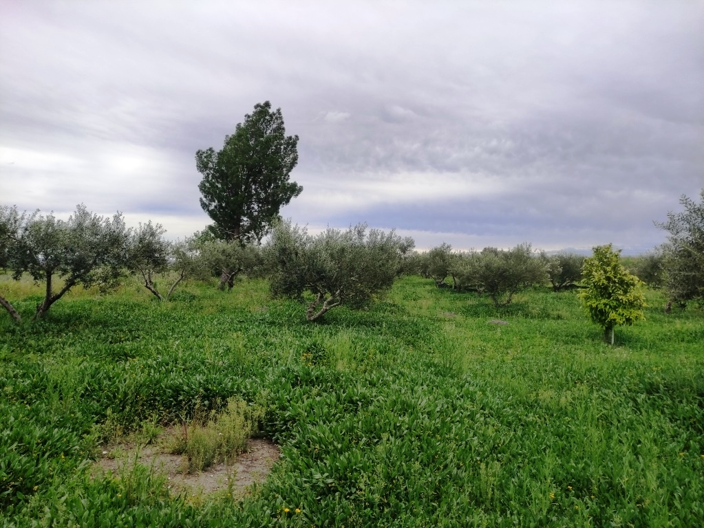 Verkauf - Country House - Albaida