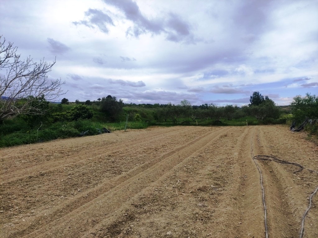 Verkauf - Country House - Albaida