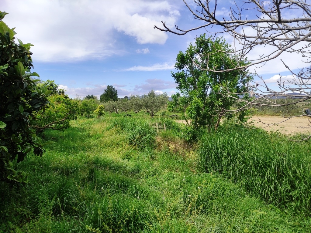 Verkauf - Country House - Albaida