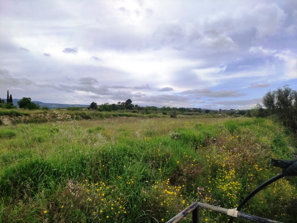 Verkauf - Country House - Albaida