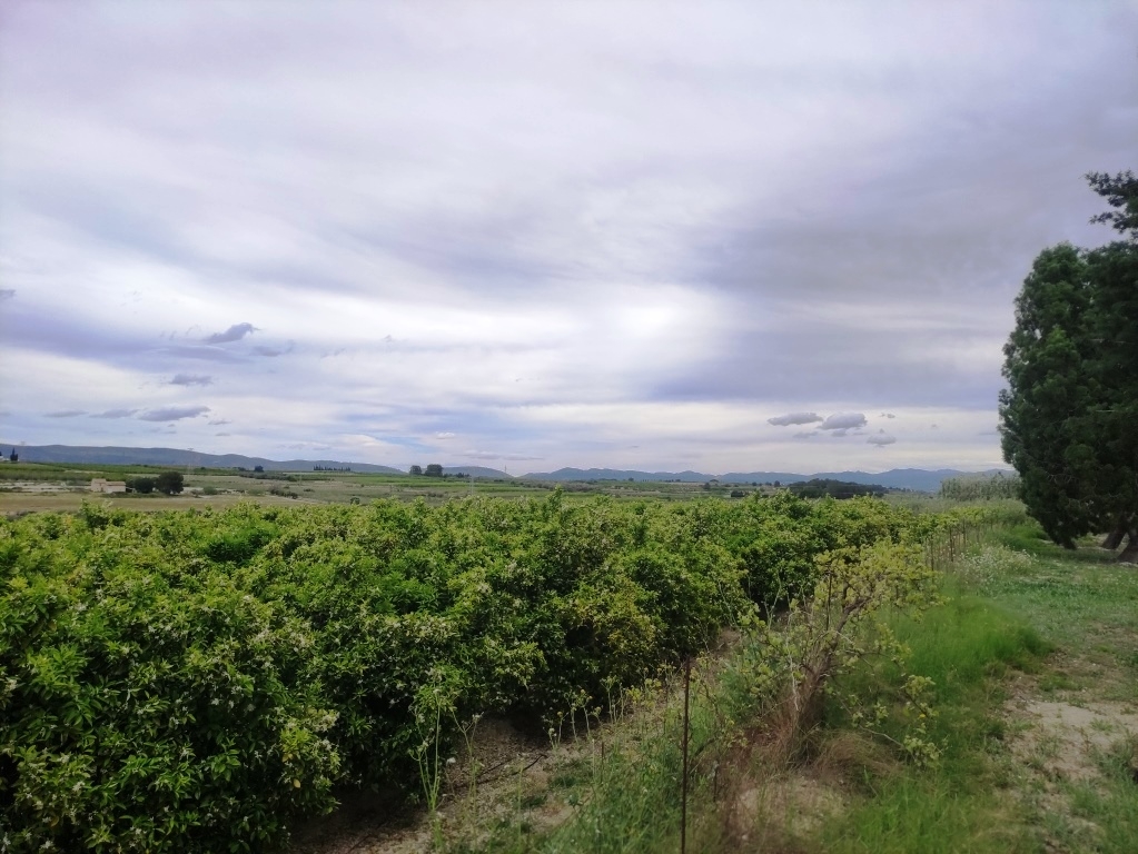 Verkauf - Country House - Albaida