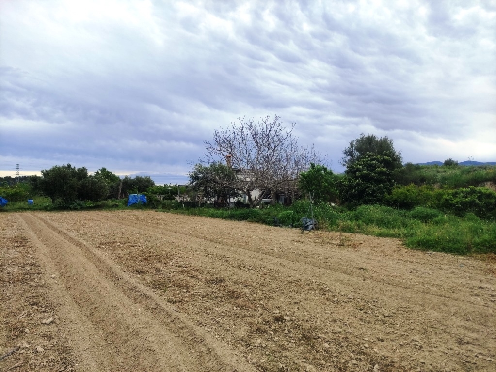 Verkauf - Country House - Albaida