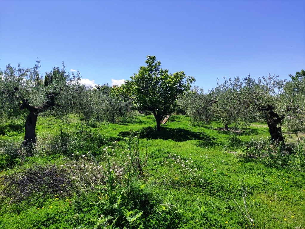 Verkauf - Country House - Cocentaina