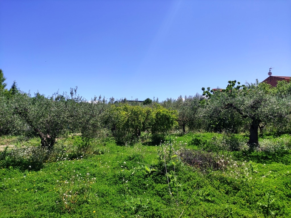 Verkauf - Country House - Cocentaina