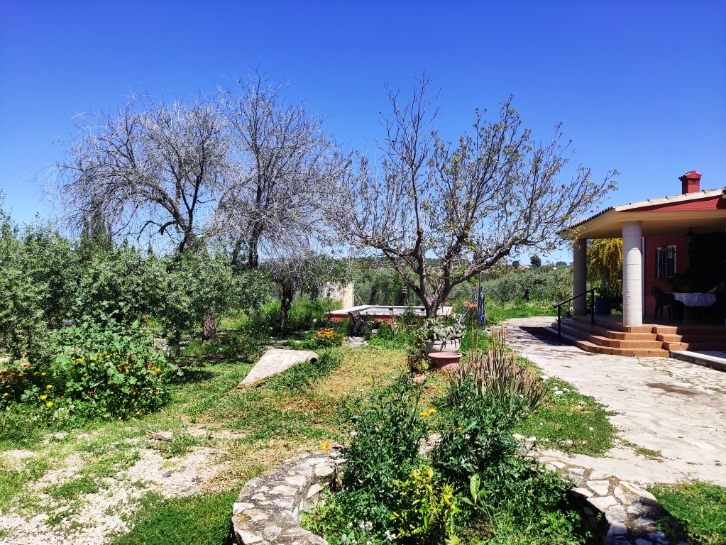 Verkauf - Country House - Cocentaina