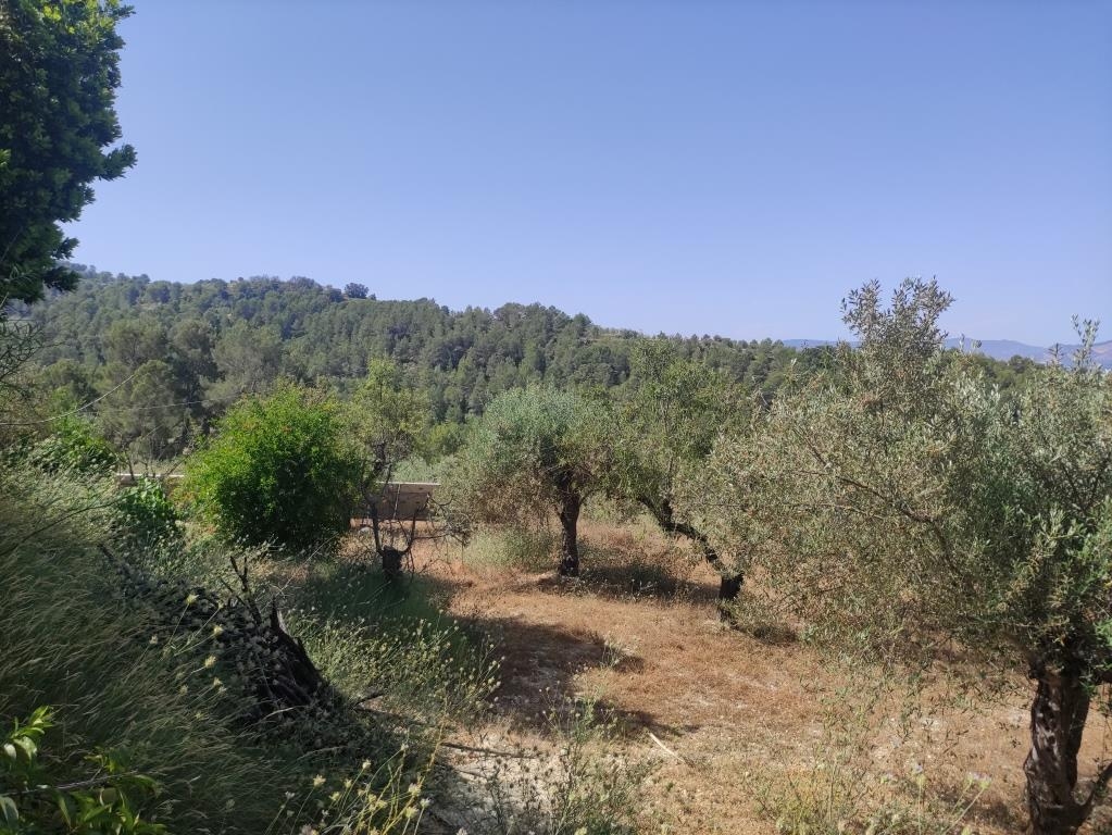 Verkauf - Country House - Benillup