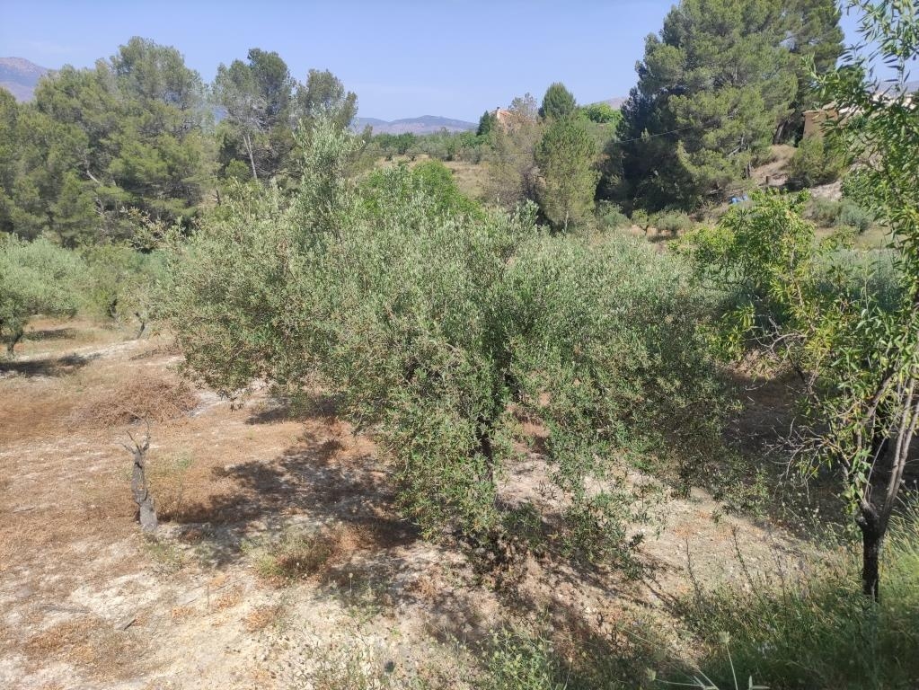 Verkauf - Country House - Benillup