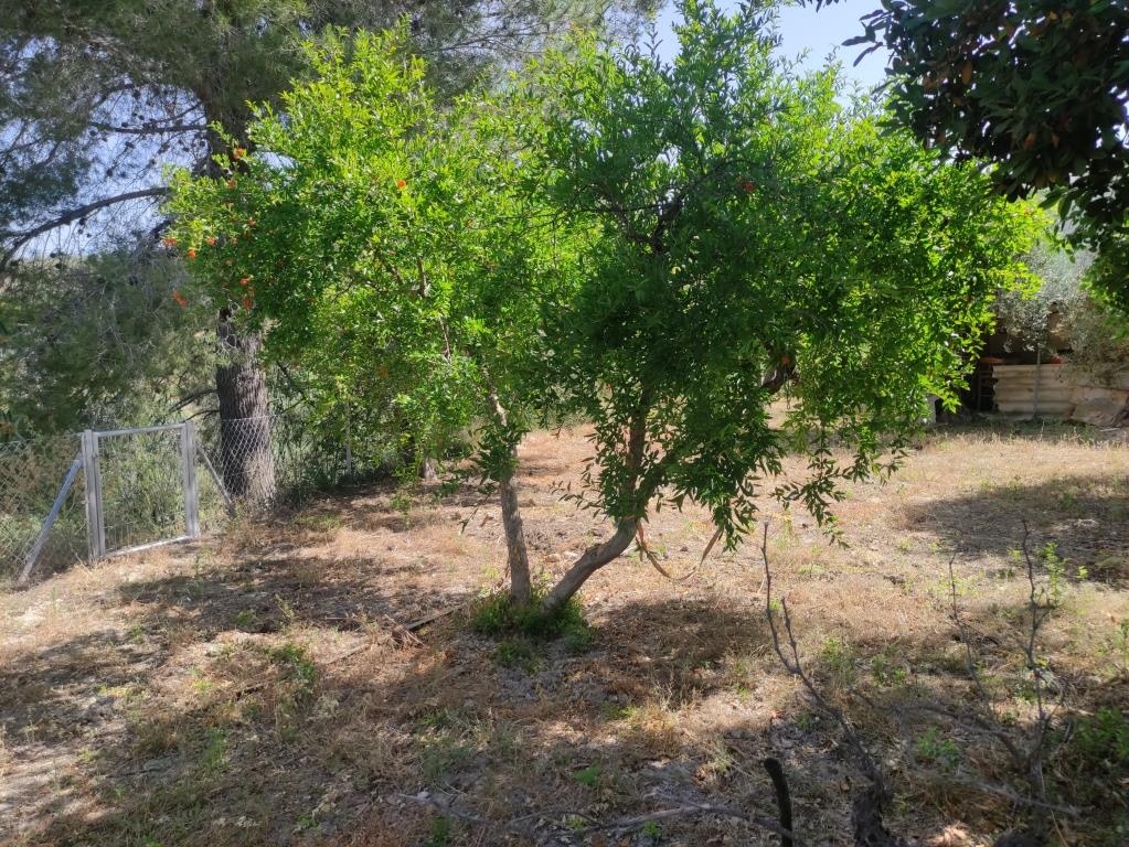 Verkauf - Country House - Benillup