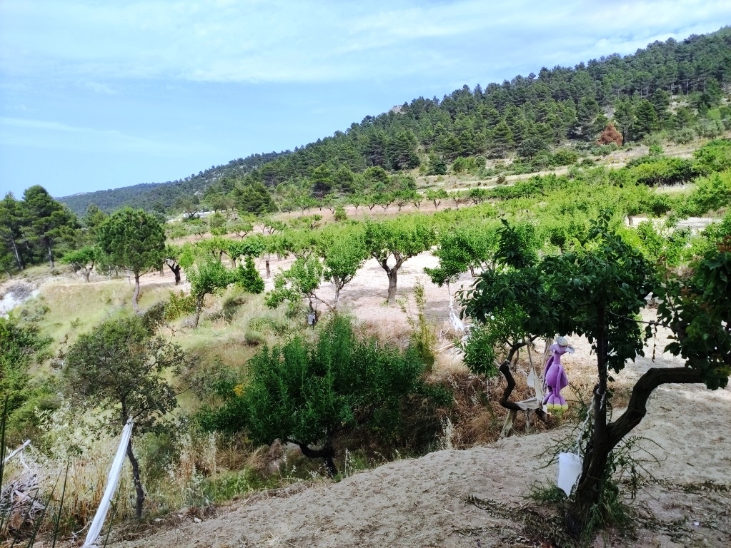 Na sprzedaż - Country House - Penáguila