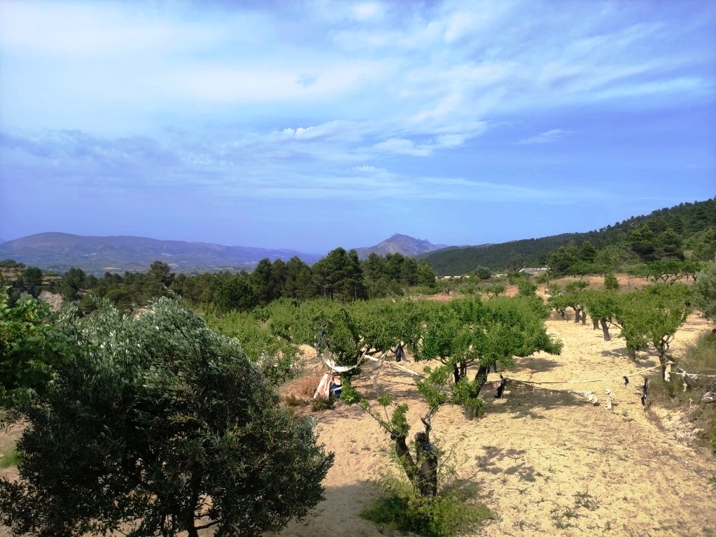 Na sprzedaż - Country House - Penáguila