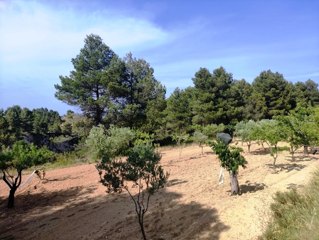 Na sprzedaż - Country House - Penáguila