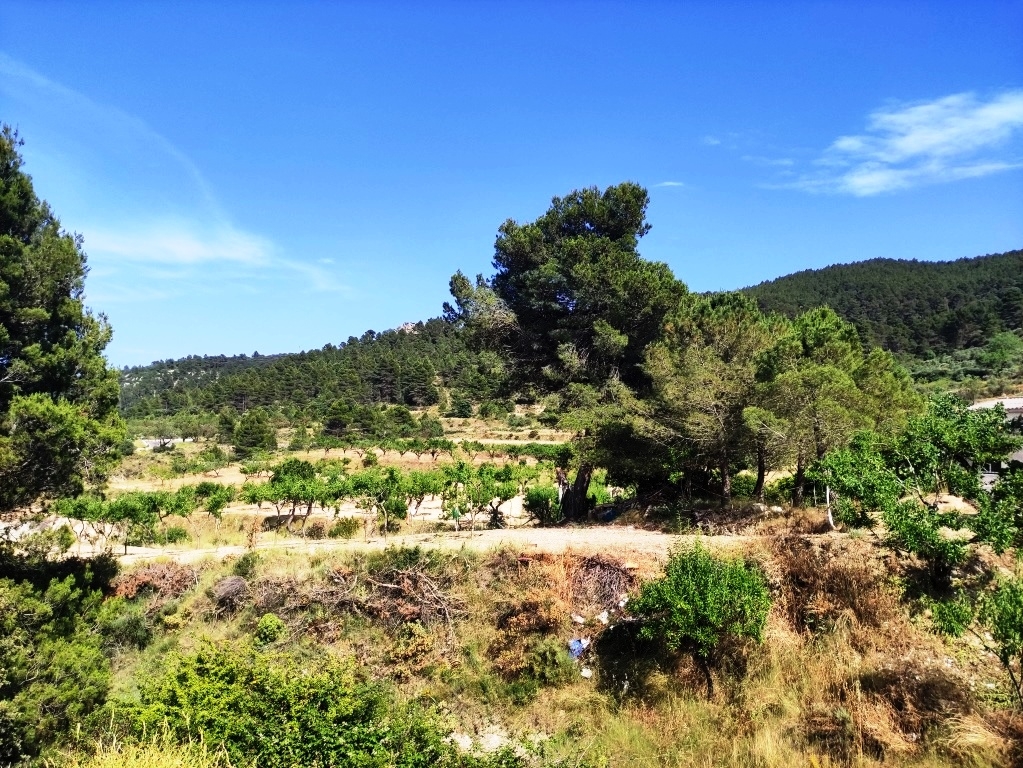 Na sprzedaż - Country House - Penáguila