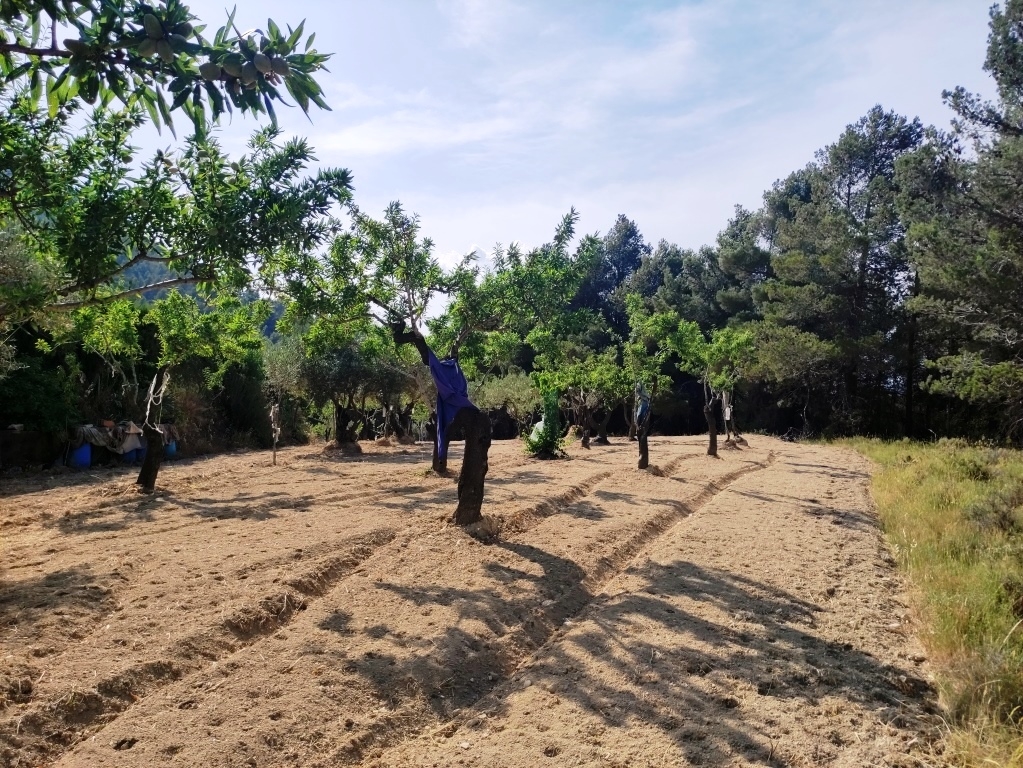 Na sprzedaż - Country House - Penáguila